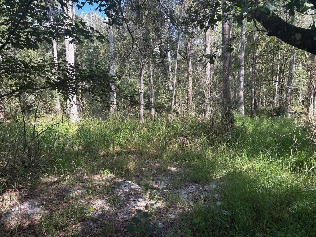 0 County Rd 54, Kathleen, FL 33849 photo 2