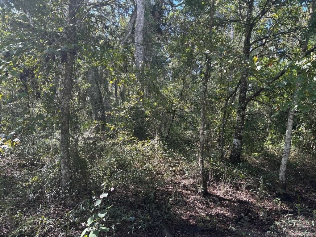 0 County Rd 54, Kathleen, FL 33849 photo 2