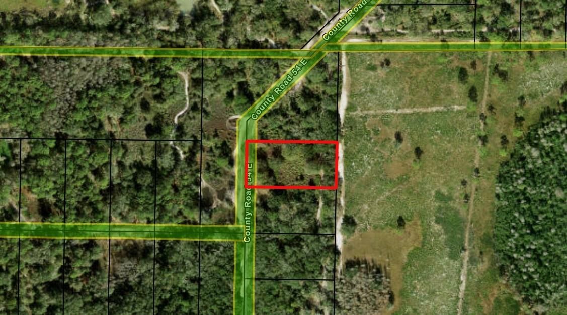 0 County Rd 54, Kathleen, FL 33849 photo 2