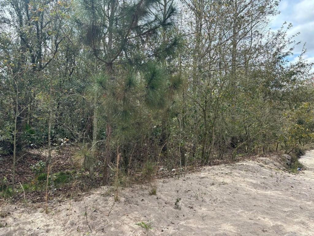 0 County Rd 54, Kathleen, FL 33849 photo 2