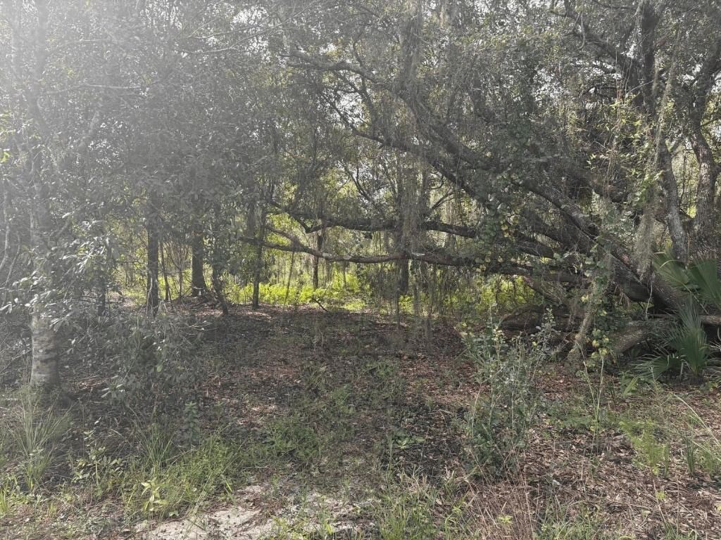 0 NW 304th Street, Okeechobee, FL 34972
