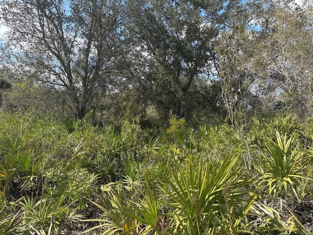 0 NW 300th Street, Okeechobee, FL 34972 photo 2