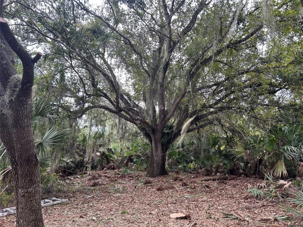 0 298th Street, Okeechobee, FL 34972