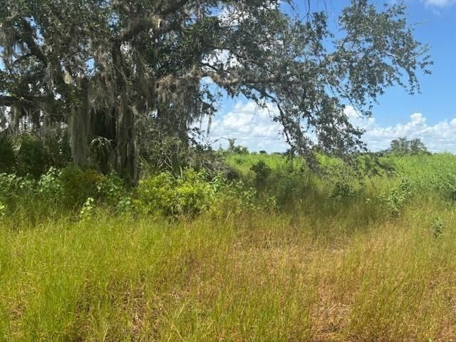 0 NW 316th Street, Okeechobee, FL 34972