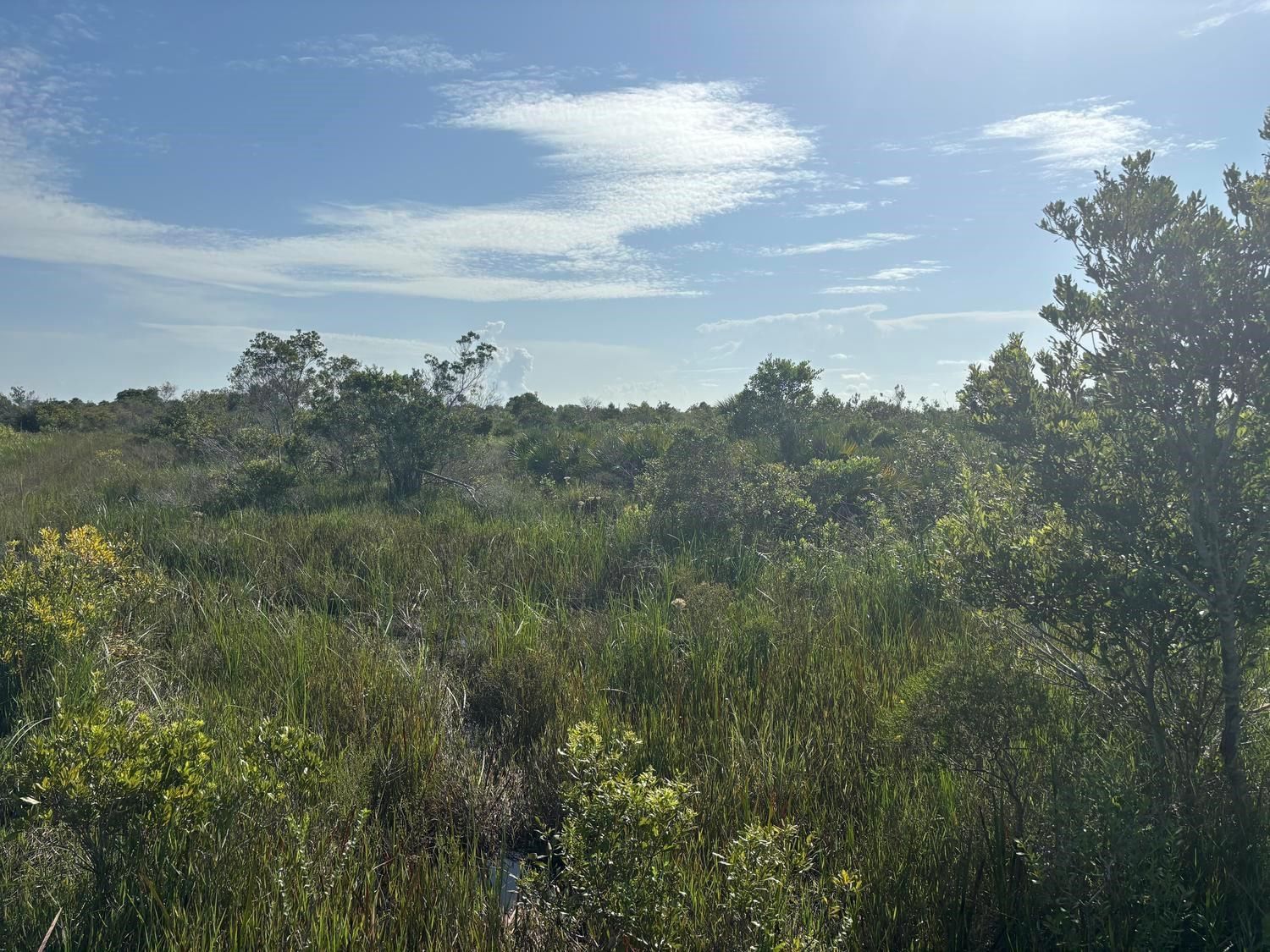 0 NW 318th Street, Okeechobee, FL 34972