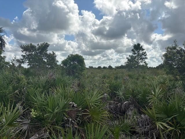 0 NW 316th Street, Okeechobee, FL 34972 photo 2