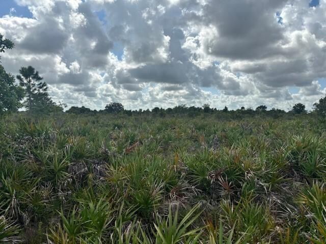 0 NW 314th Street, Okeechobee, FL 34972 photo 3