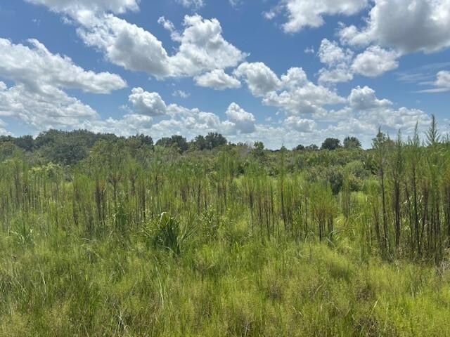 0 NW 314th Street, Okeechobee, FL 34972