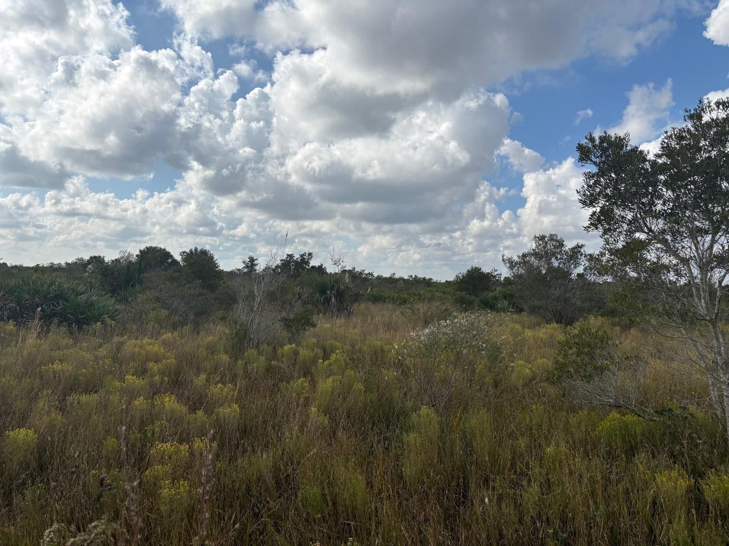0 NW 314th Street, Okeechobee, FL 34972