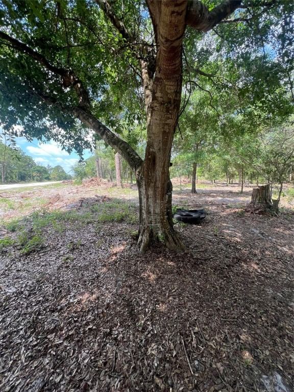 681 N Perimeter Road, Clewiston, FL 33440 photo 3