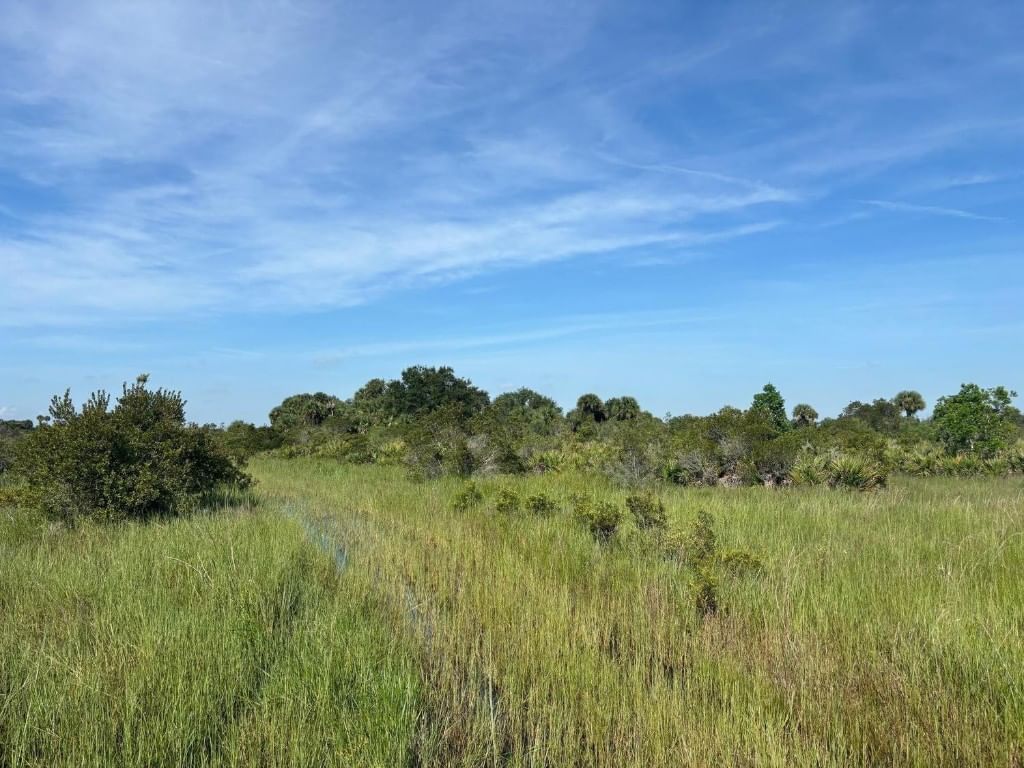 0 NW 308th Street, Okeechobee, FL 34972