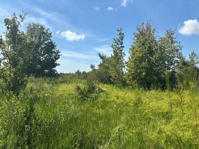 0 NW 310th Street, Okeechobee, FL 34972 photo 2