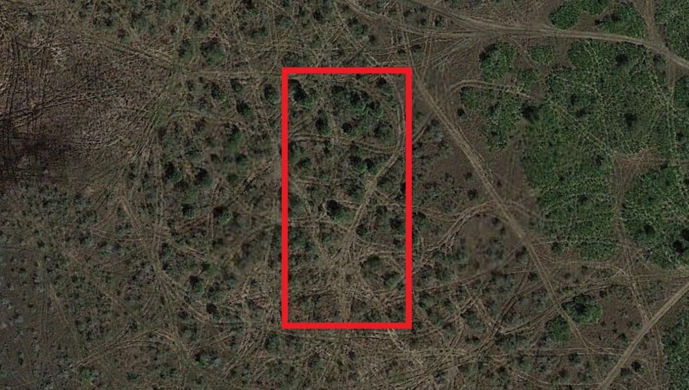 0 NW 310th Street, Okeechobee, FL 34972 photo 2
