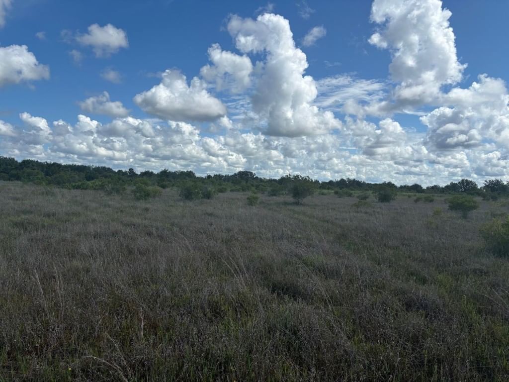 0 290th Street, Okeechobee, FL 34972 photo 2