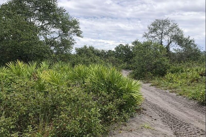 0 Alturas Babson Park Cutoff Road, Lake Wales, FL 33859