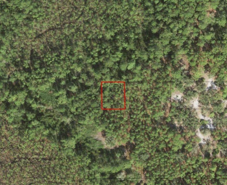 0 Fourth Avenue, St Cloud, FL 34771 photo 2