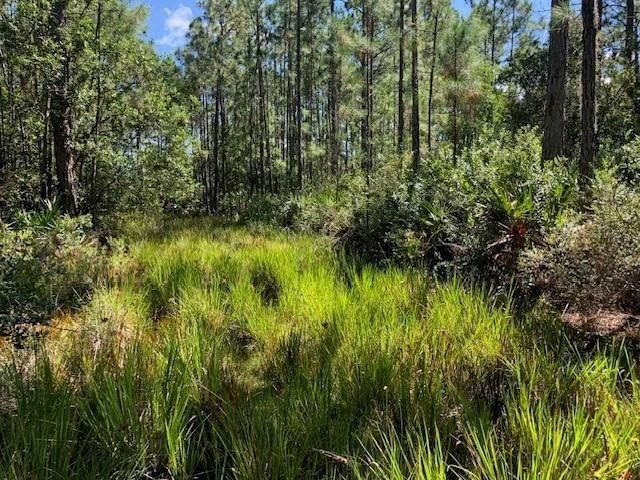 0 Old Grade Road, Polk City, FL 33868 photo 3