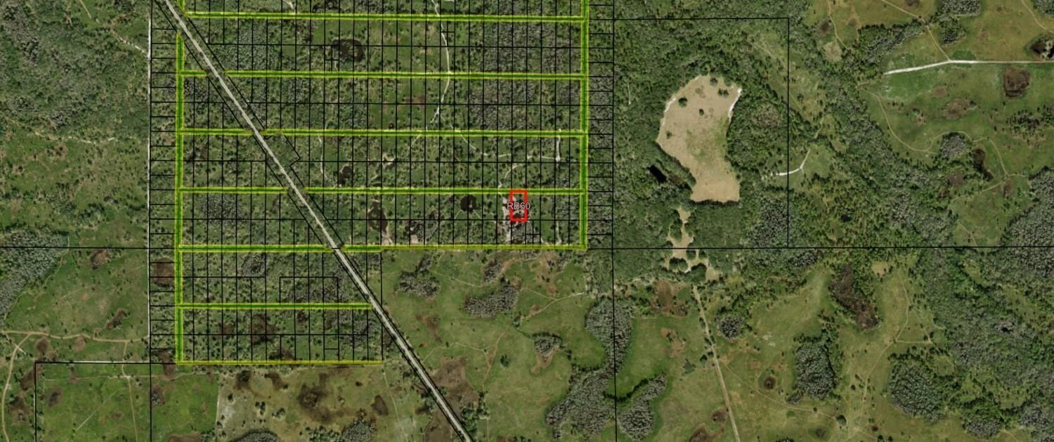 0 County Rd 54, Kathleen, FL 33849 photo 2