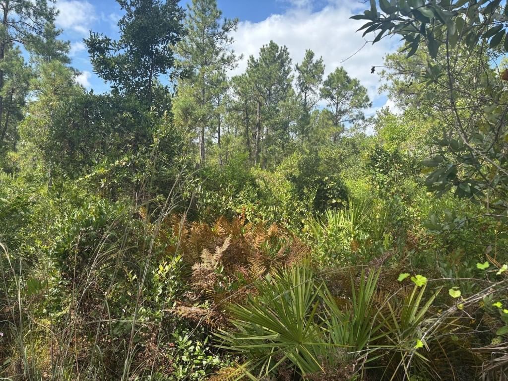 0 Hwy 630e, Frostproof, FL 33843 photo 2