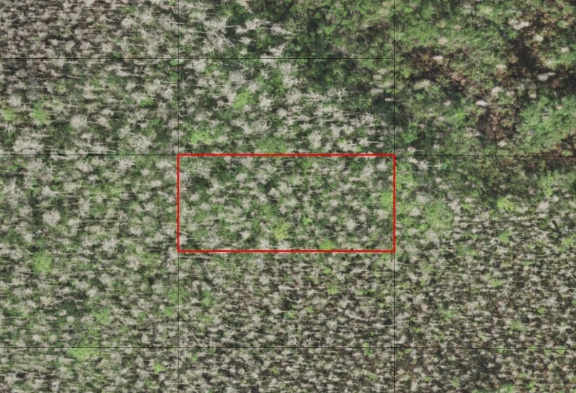 0 Holopaw Groves Road, St Cloud, FL 34772