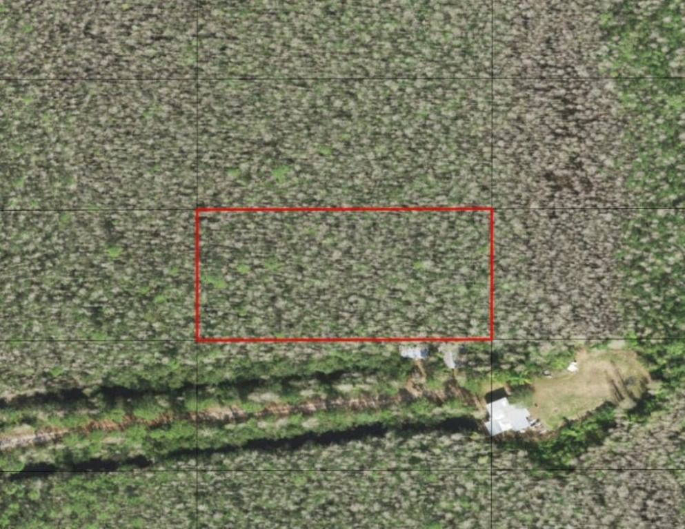 0 Holopaw Groves Road, St Cloud, FL 34772