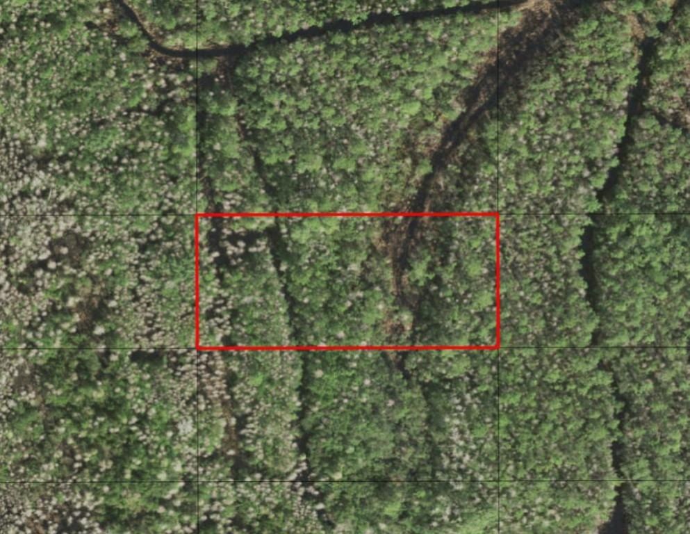 0 Holopaw Groves Road, St Cloud, FL 34772