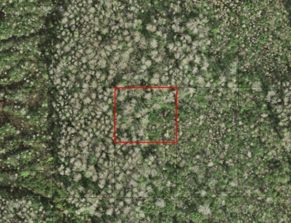 0 Holopaw Groves Road, St Cloud, FL 34772