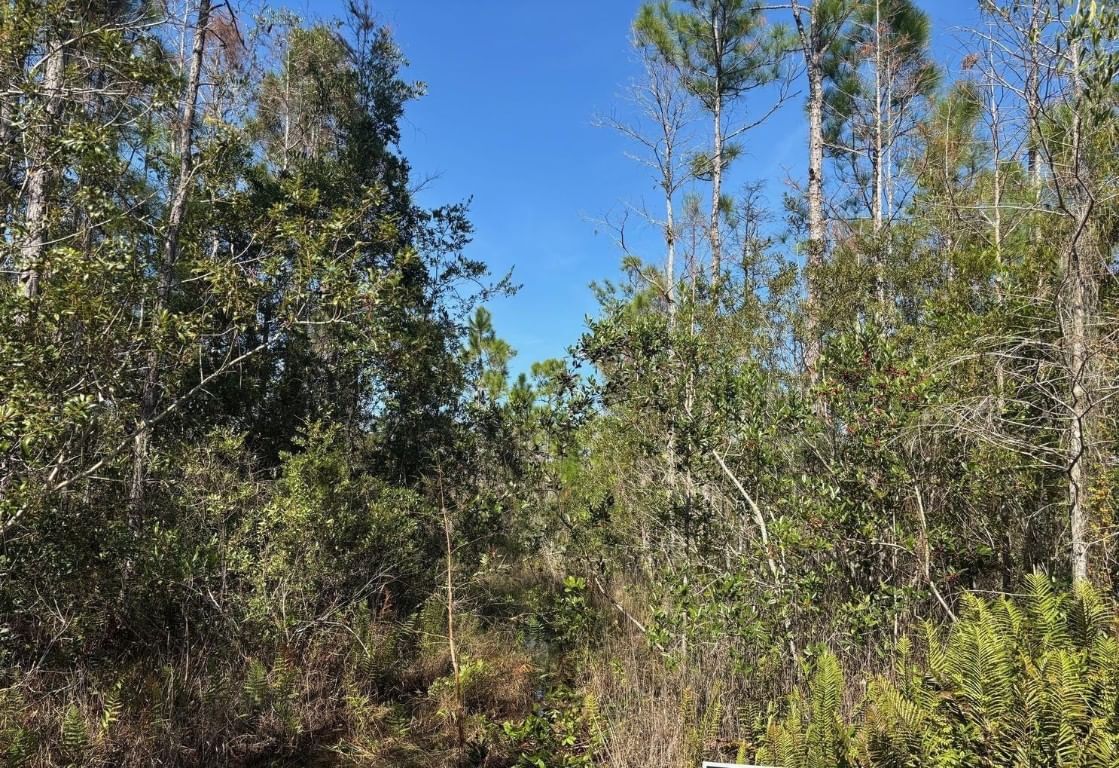 0 Holopaw Groves Road, St Cloud, FL 34772