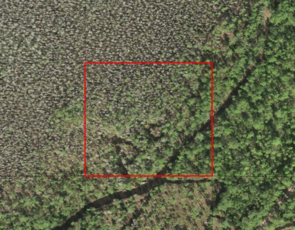 0 Holopaw Groves Road, St Cloud, FL 34772 photo 2