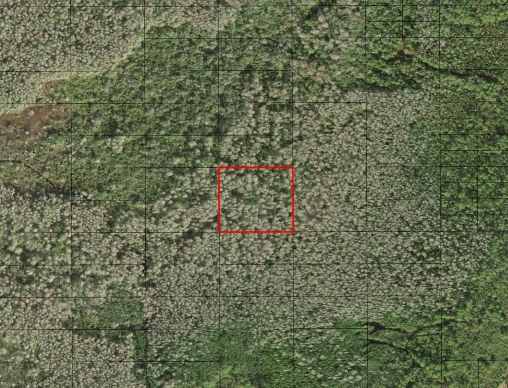 0 Holopaw Groves Road, St Cloud, FL 34772
