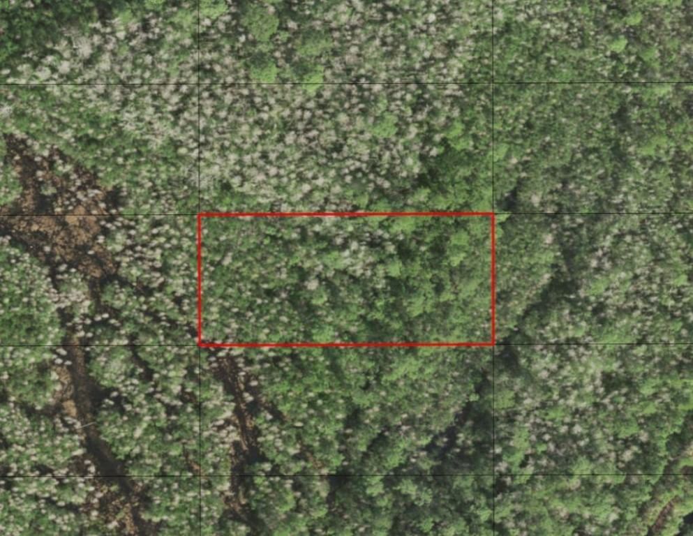 0 Holopaw Groves Road, St Cloud, FL 34772