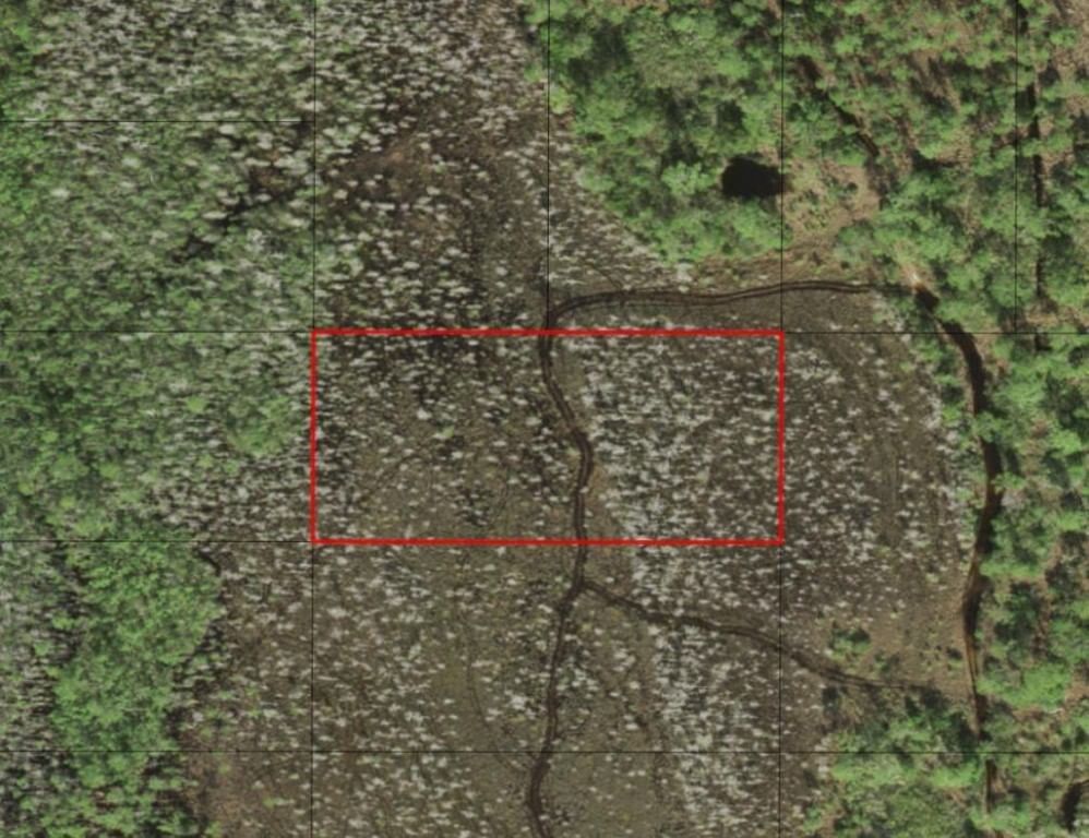 0 Holopaw Groves Road, St Cloud, FL 34772