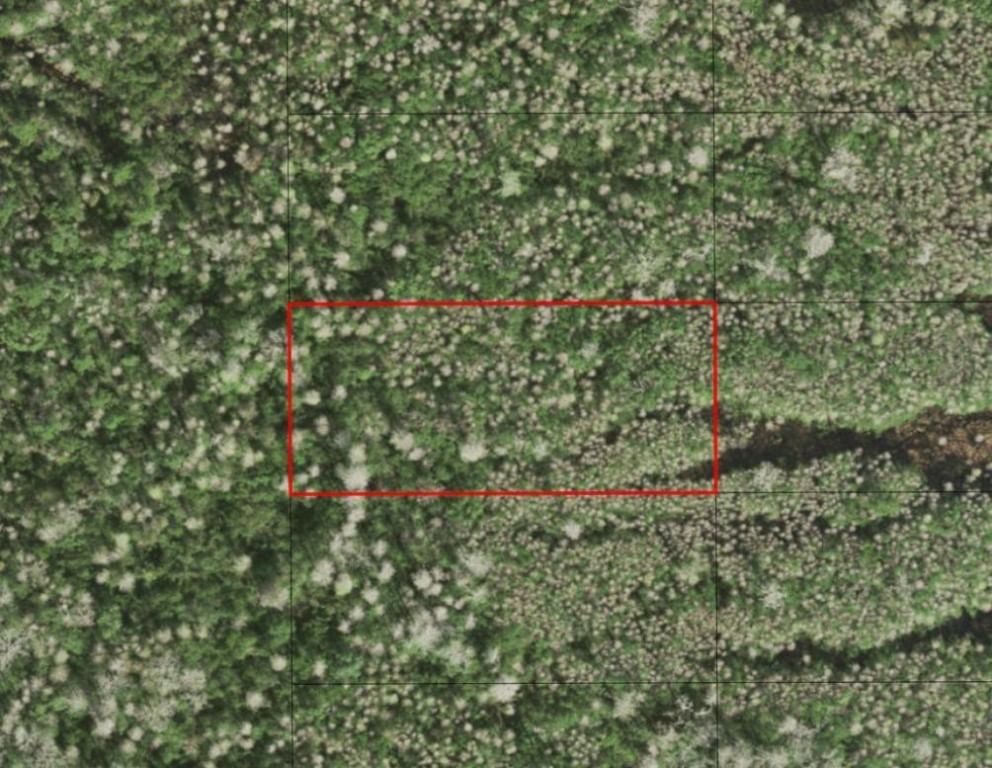 0 Holopaw Groves Road, St Cloud, FL 34772