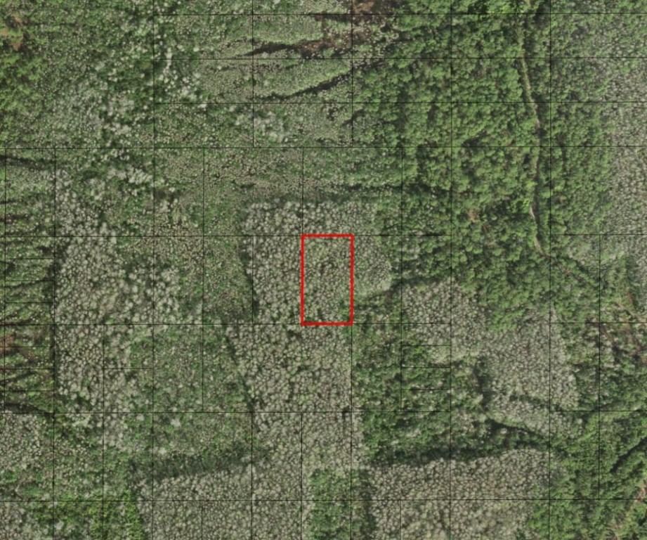 0 Holopaw Groves Road, St Cloud, FL 34772