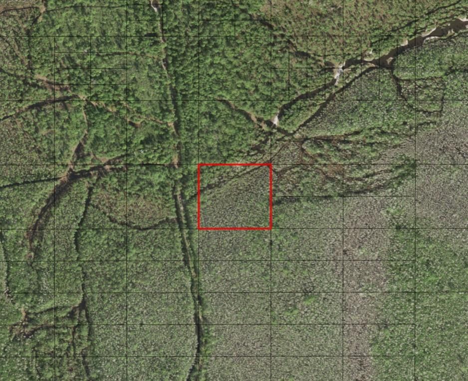 0 Holopaw Groves Road, St Cloud, FL 34772 photo 2