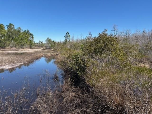 0 Holopaw Groves Road, St Cloud, FL 34772 photo 2
