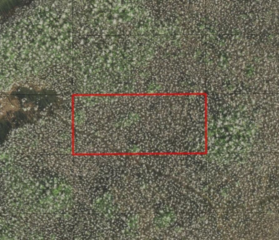 0 Holopaw Groves Road, St Cloud, FL 34772
