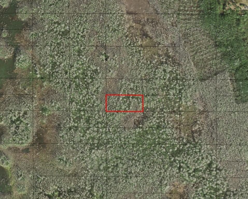 0 Holopaw Groves Road, St Cloud, FL 34772