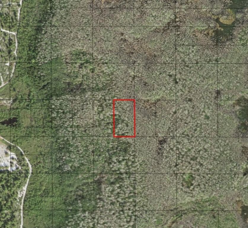 0 Holopaw Groves Road, St Cloud, FL 34772