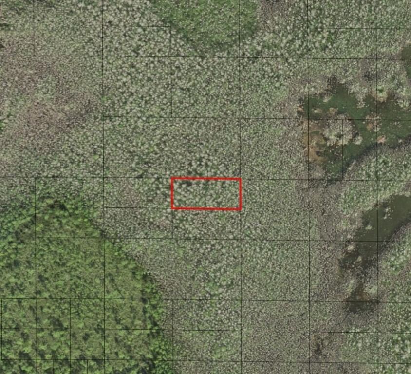 0 Holopaw Groves Road, St Cloud, FL 34772