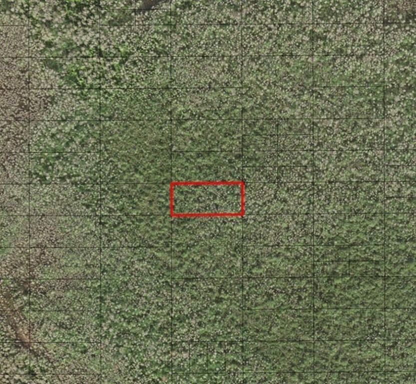 0 Holopaw Groves Road, St Cloud, FL 34772