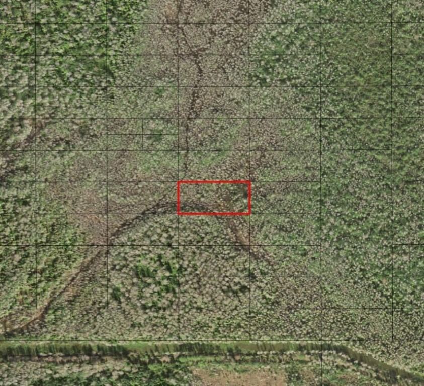 0 Holopaw Groves Road, St Cloud, FL 34772