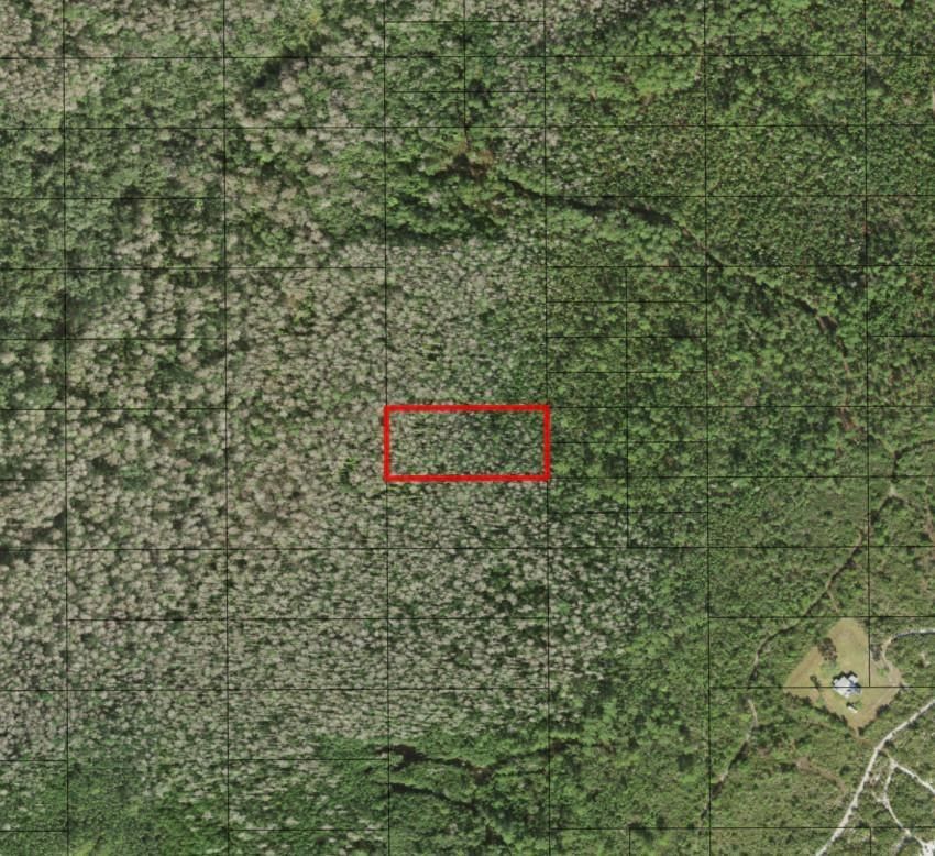 0 Holopaw Groves Road, St Cloud, FL 34772