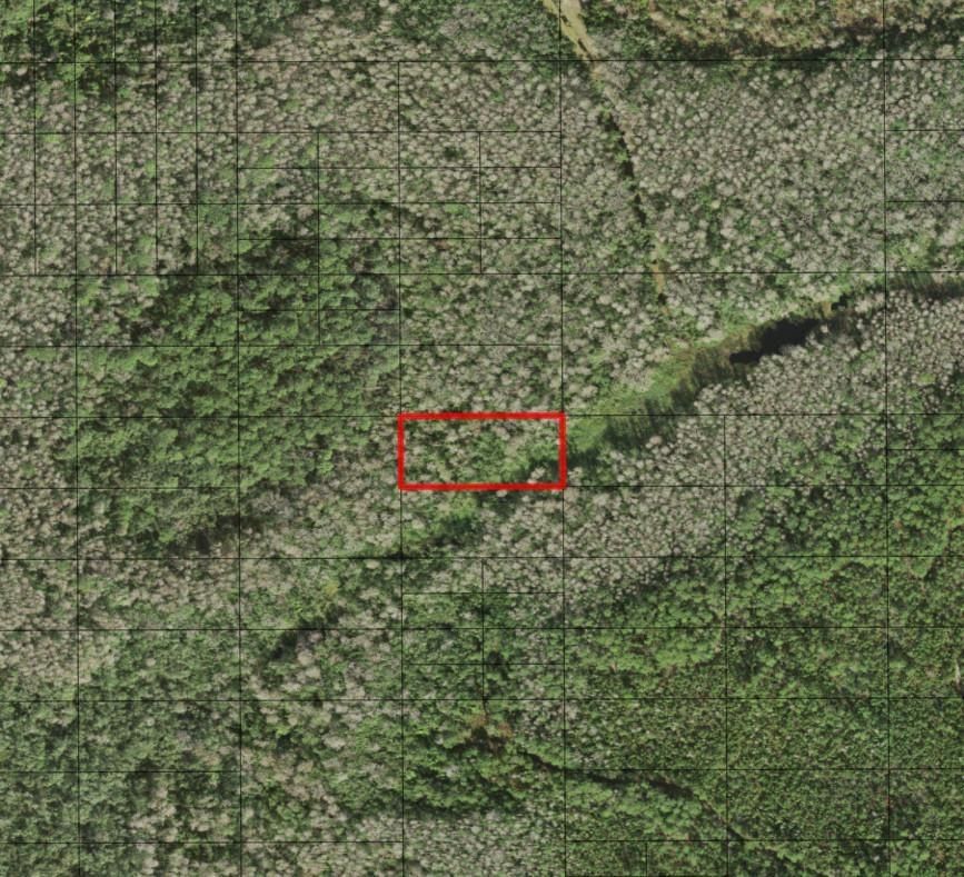 0 Holopaw Groves Road, St Cloud, FL 34772