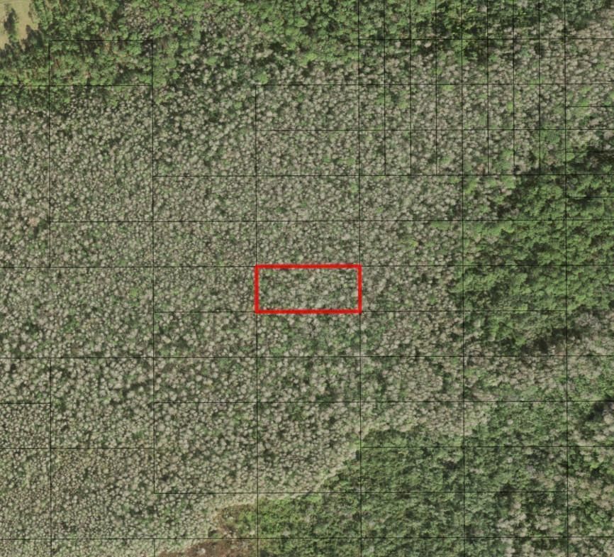 0 Holopaw Groves Road, St Cloud, FL 34772