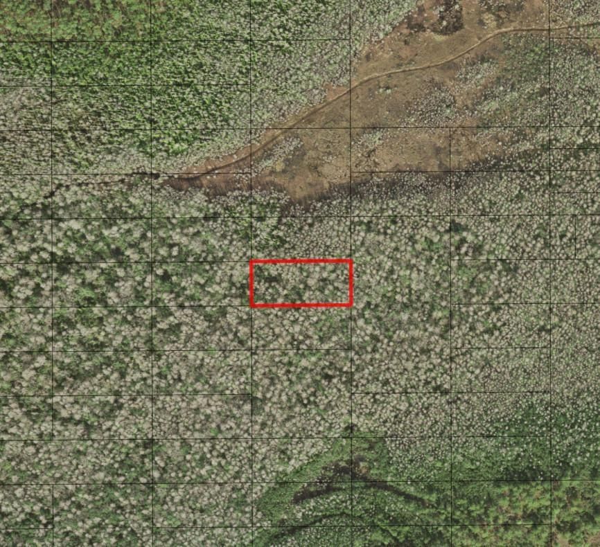 0 Holopaw Groves Road, St Cloud, FL 34772