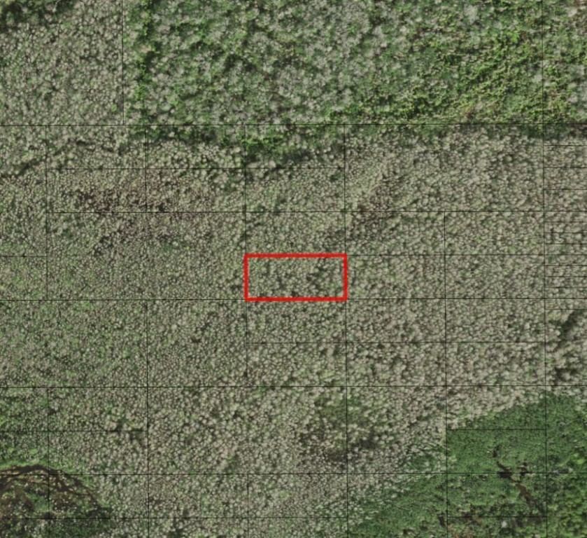 0 Holopaw Groves Road, St Cloud, FL 34772