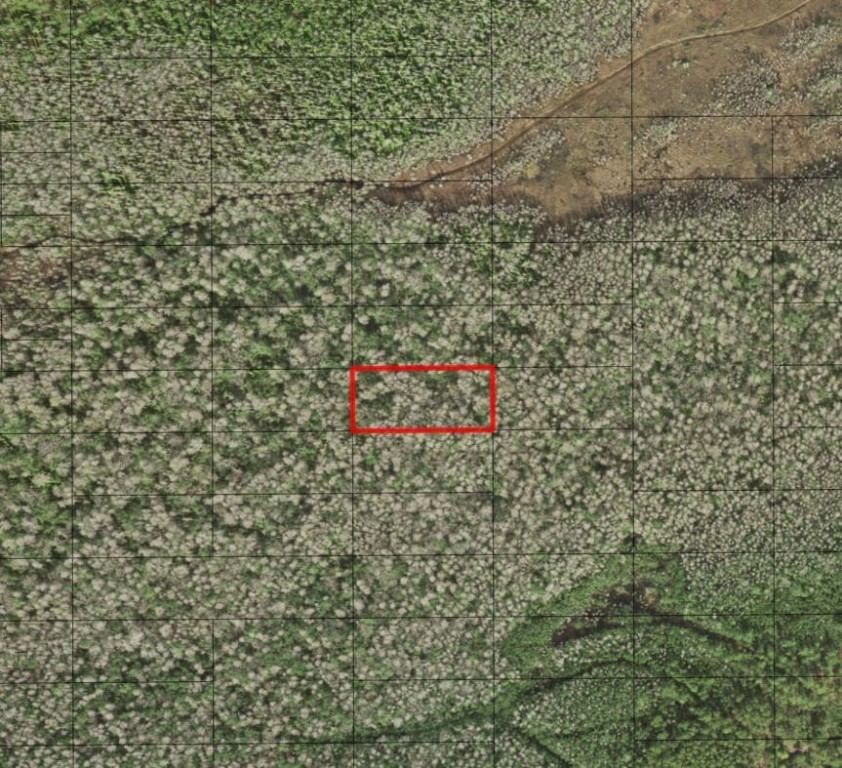 0 Holopaw Groves Road, St Cloud, FL 34772