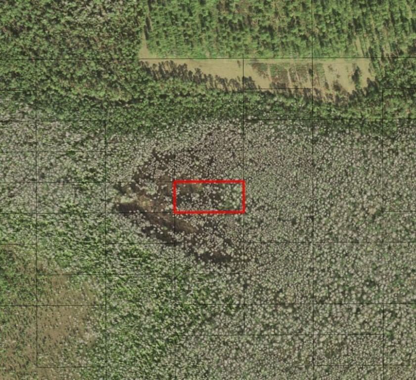 0 Holopaw Groves Road, St Cloud, FL 34772