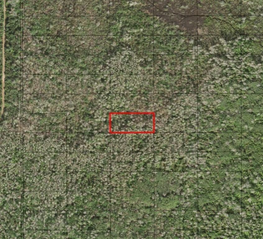 0 Holopaw Groves Road, St Cloud, FL 34772